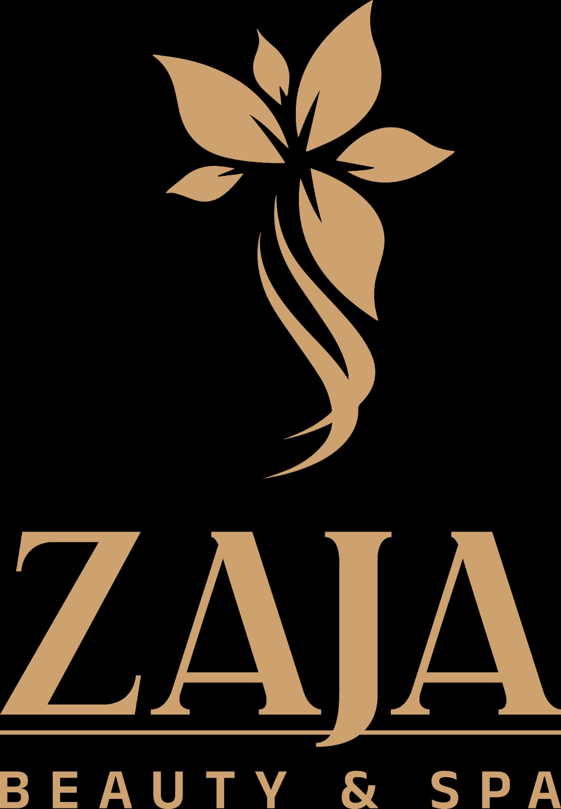 Zaja logo